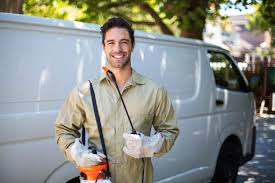 Best Real Estate Pest Inspections  in Pine Hill, NJ